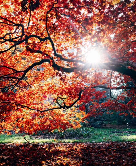 herbstferien