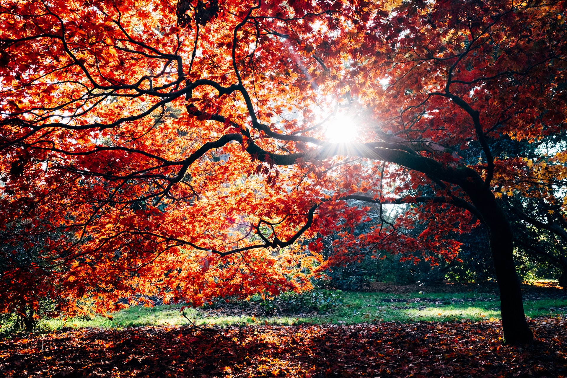 Schöne Herbstferien!