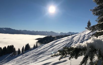 Ein Beitrag für euch zu Hause