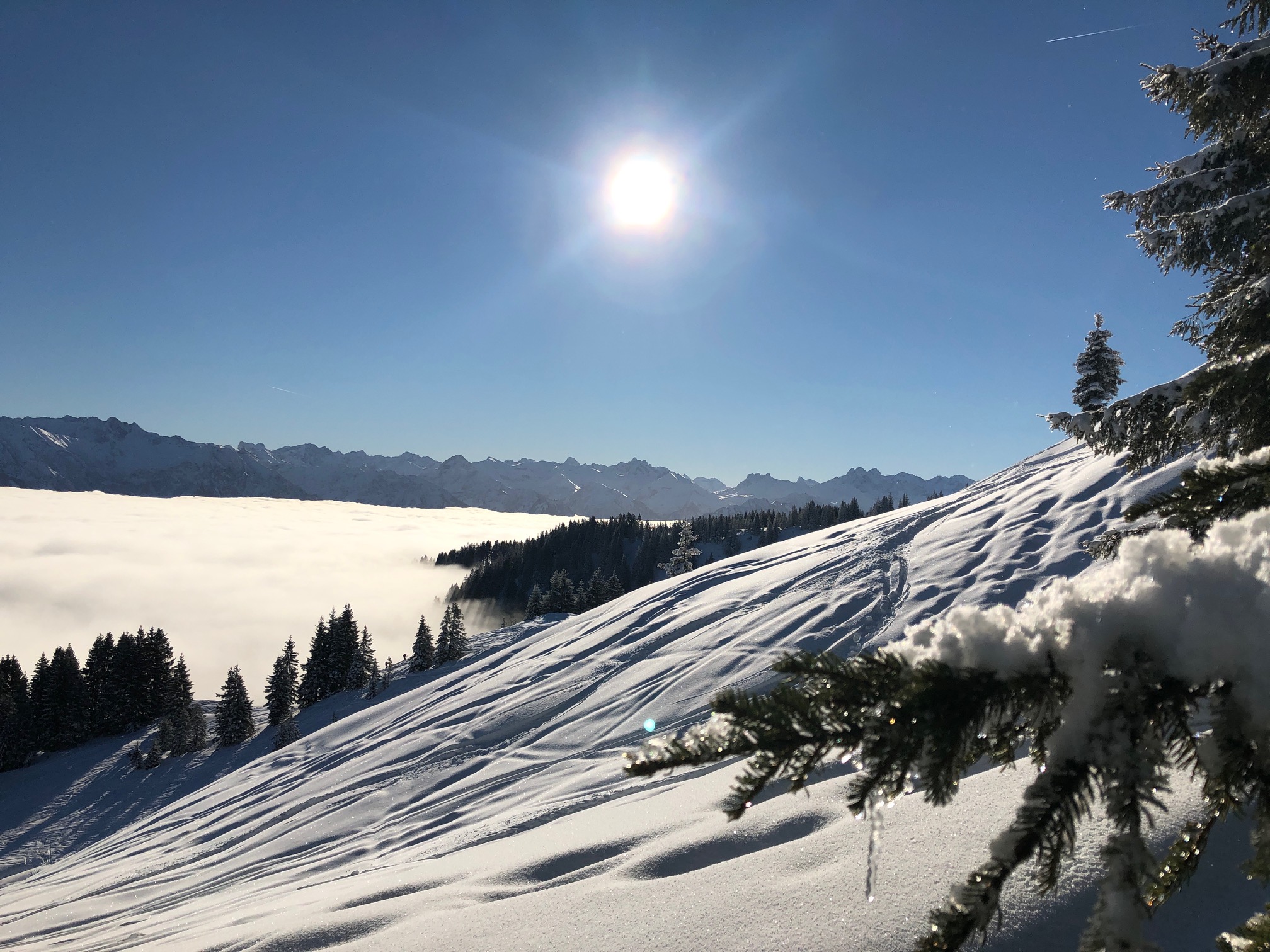 Ein Beitrag für euch zu Hause