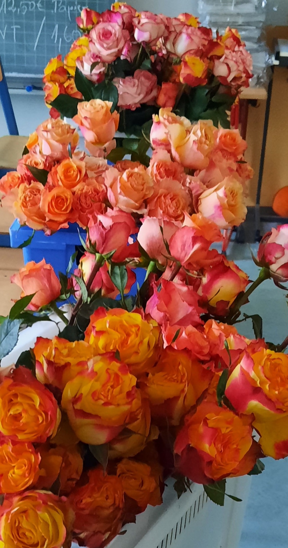 Happy Valentine`s Day Happy Valentine`s Day