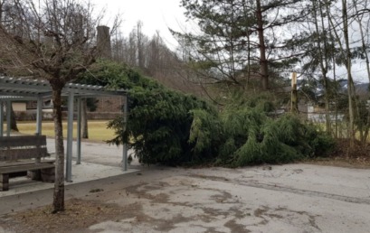 Sturm Sabine wütete auch an unserer Schule