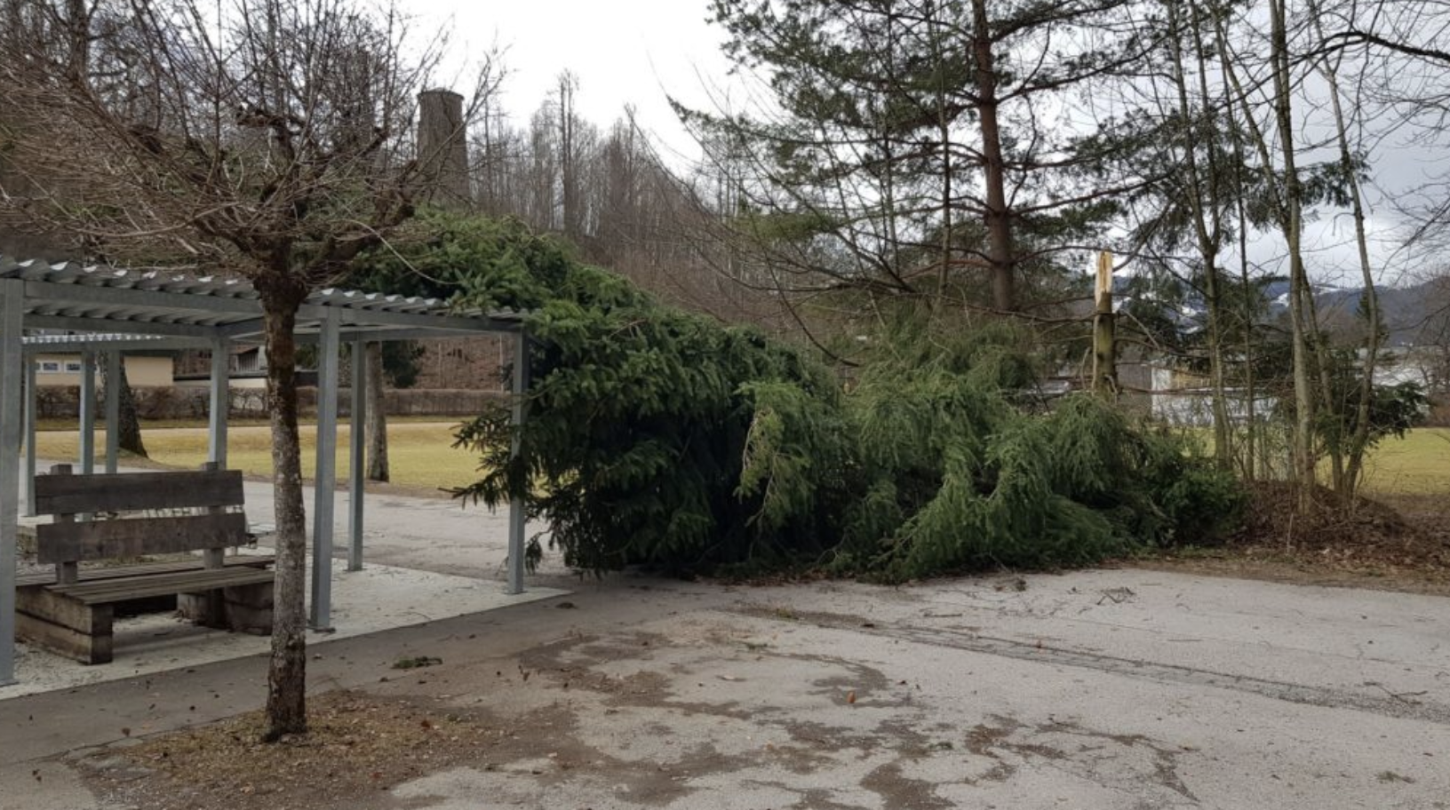 Sturm Sabine wütete auch an unserer Schule Sturm Sabine wütete auch an unserer Schule